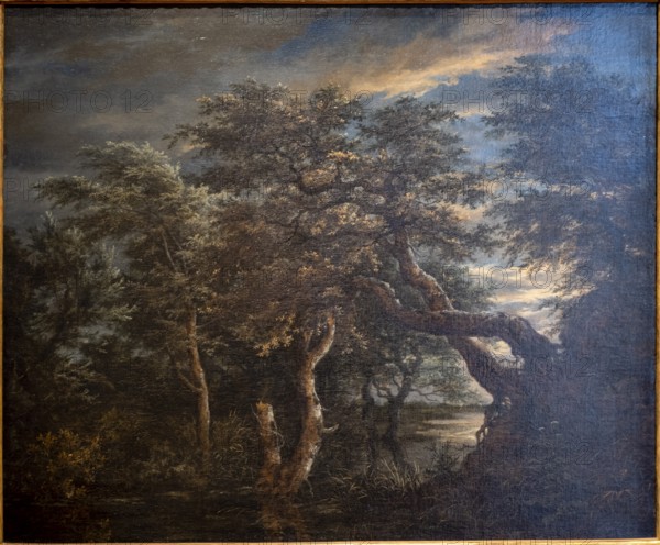 Jacob Isaacksz Van Ruisdael, A marsh in a forest at dusk, 1665, oil on panel, Museo de Bellas Artes, Bilbao, Spain