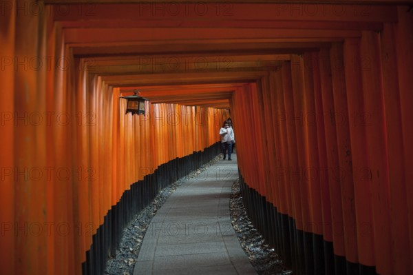 24.12.2017, Kyoto, Japan, Asia, An interior view of one of the torii pathways leading to Fushimi Inari-Taisha, a Shinto shrine in the Fushimi ward of Kyoto city