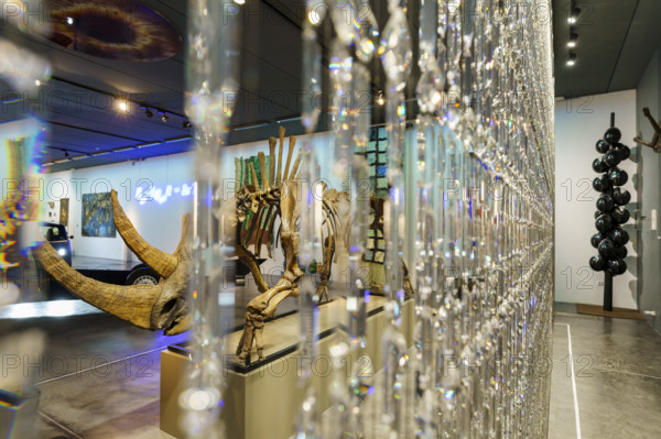 Curtain of Swarovski crystals and fossilized skeleton of Siberian woolly rhinoceros (Coelodonta antiquitatis), Sa Bassa Blanca Museum (msbb) Yannick Vu and Ben Jakober, Alcudia, Majorca, Spain