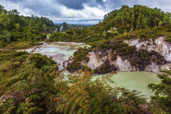 Thermal Wonderland is Wai - O - Tapu. Picturesque lake with green water. New Zealand, North Island. The concept of active and phototouris
