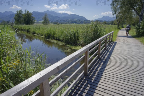 Cycle path in the Bernauer moss, moorland, Kampenwand, Bernau am Chiemsee, Bernau, summer, August, Chiemgau, Chiemgau Alps, Bavaria, Upper Bavaria, Germany