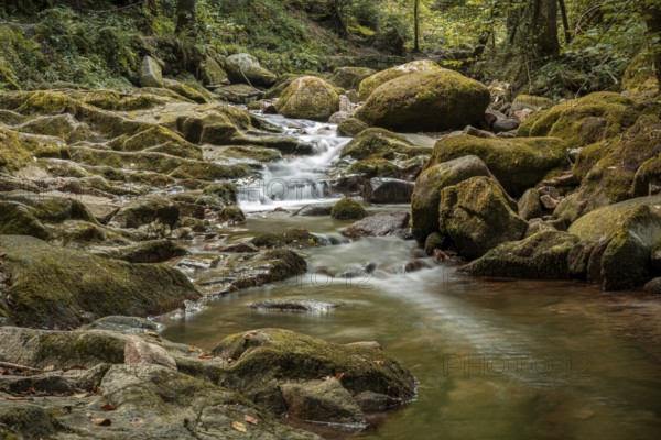 The Grobbach, a small creek in the northern Black Forest near Malschbach, Baden-Wuerttemberg, Germany