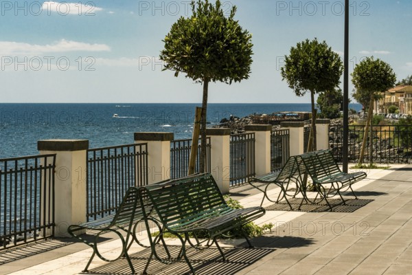 Bench and little trees at the sicilian sea, Italy