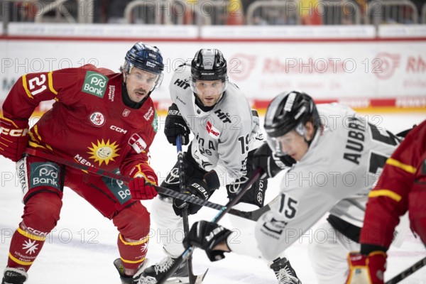 PSD Bank Dome, Düsseldorf, North Rhine-Westphalia, Brendan O'Donnel (Düsseldorfer EG, #21), Frederik Storm (Koelner Haie, #19), PENNY DEL, Düsseldorfer EG- Kölner Haie on 24.01.2025 at PSD Bank Dome in Düsseldorf Germany