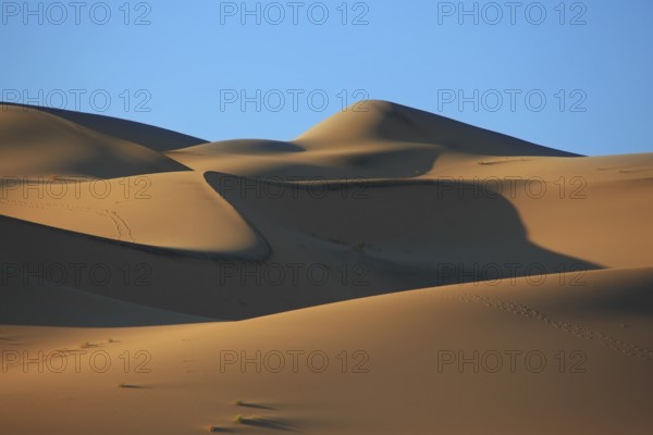 Cold shades and traces of animals on sand of the White dune Eureka. Deadh Valley of the USA