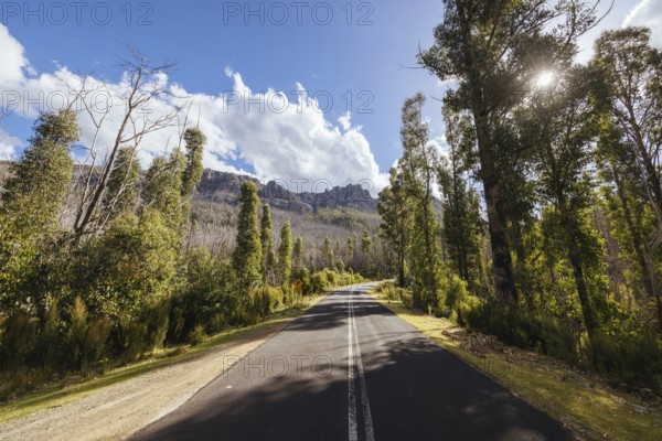 The picturesque Gordon River Rd and the Needles mountain range near Florentine on a hot summer's afternoon in Southwest National Park, Tasmania, Australia