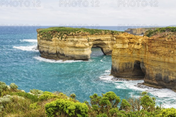 Mutton Bird Island is the home to thousands of short-tailed shearwater from October to April, Port Campbell, Victoria, Australia