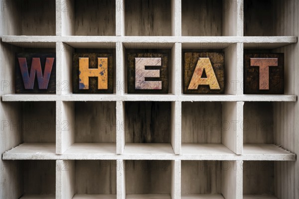 The word WHEAT written in vintage ink stained wooden letterpress type in a partitioned printer's drawer