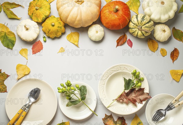Thanksgiving festive table composition with different colourful pumpkins, autumn leaves, empty plates with cutlery on light grey background table ready for party and celebration. Space for text, food photography, food photography
