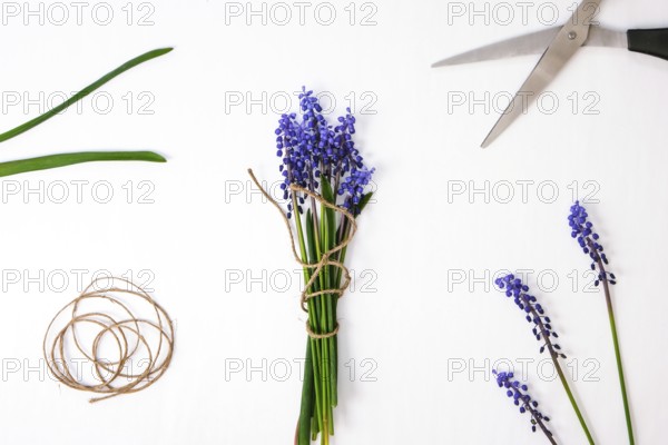 Female hands collect bouquet of blue muscari as a gift. Pruning flowers. Local small business Florist in flower shop. Eco-style. Florist at work workspace. Woman making bouquet