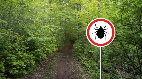Tick insect warning sign in infected forest. Lyme disease and meningitis transmitter