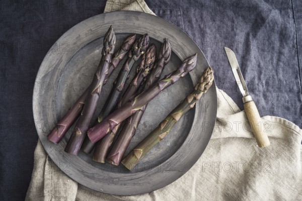 Fresh purple asparagus on an old pewter plate with an old paring knife on dark linen