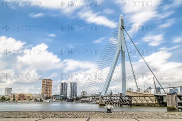Rotterdam, Netherlands, August 6, 2016: The 800-metre long Erasmus Bridge spans the Maas River and links the northern and southern parts of Rotterdam