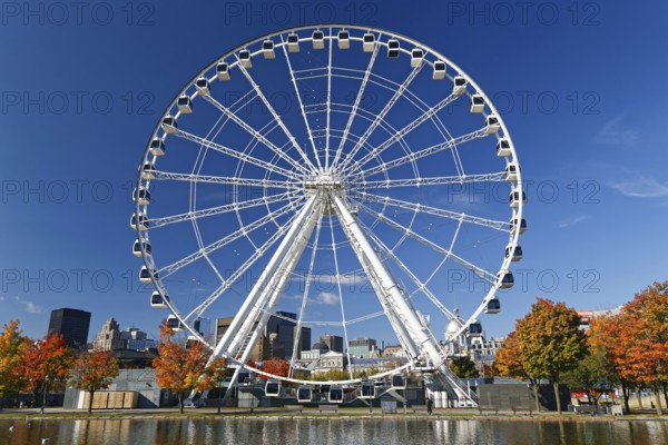 Autumn colours, Ferris wheel at the Basin Bonsecour, Old Montreal, Montreal, Province of Quebec, Canada