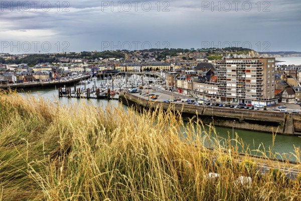 Tall grasses in the foreground, behind them a harbour with boats and a cityscape under a cloudy sky, The harbour of Dieppe in Normandy, France