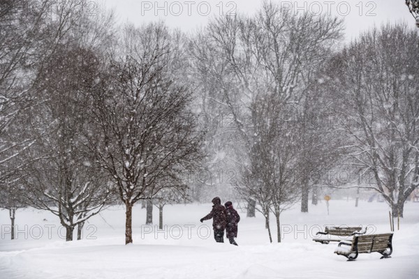 Heavy snow squalls of lake-effect snow falls over Springbank Park in London, Canada. Environment Canada predicted 25-35cm of snow would fall over the region in 24 hours in London, Ontario, Canada, North America