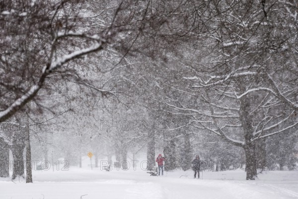 Heavy snow squalls of lake-effect snow falls over Springbank Park in London, Canada. Environment Canada predicted 25-35cm of snow would fall over the region in 24 hours in London, Ontario, Canada, North America