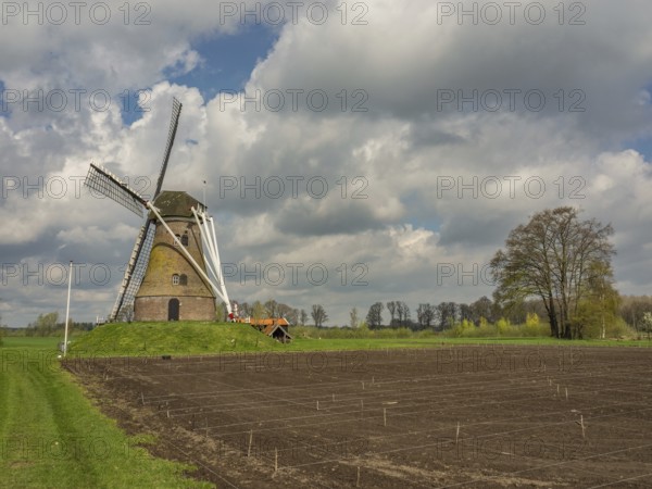 Windmill on a hill next to a freshly ploughed field and green meadow under a blue sky, Eibergen, Gelderland, Netherlands