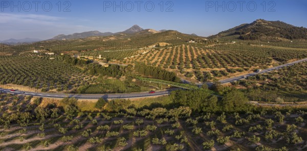 Metal bridge over the olive grove, Greenway of Oil Natural Trail, Alcaudete, Jaén province, Andalusia, Spain
