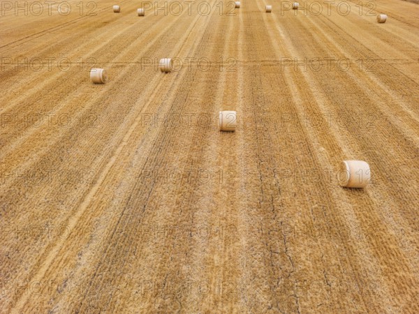 Several bales of straw on harvested field in hot summer drought lie to horizon, Germany