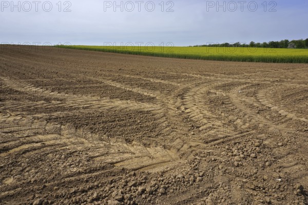 Field with tractor tracks, prepared for sowing, Swabian Alb, Field with tractor tracks, prepared for sowing, Swabian Alb, Germany