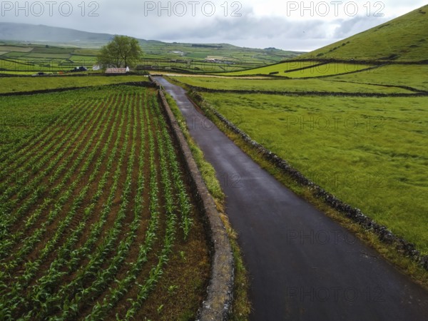 Aerial view of rural road crossing vibrant green fields parceled with stone fences. Terceira Island, Azores, Portugal