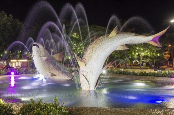 Liberty Square, piraputangas fish, located in the city of Bonito, Mato Grosso do Sul, Brazil