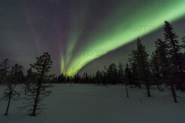 Northern Lights (Aurora borealis), Muddus National Park, Laponia World Heritage Site, Norrbotten, Lapland, Sweden, December 2016