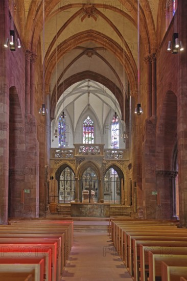 Late Gothic castle church with rood screen, interior view, St Michael, collegiate church, castle church, Pforzheim, Northern Black Forest, Black Forest, Baden-Württemberg, Germany