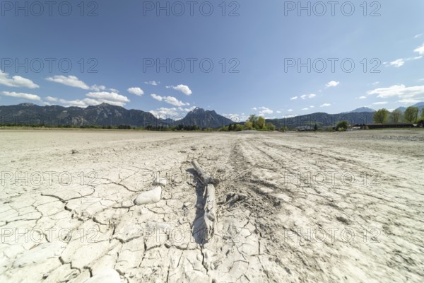 Cracked, dried out ground, waterless Forggensee in spring, behind it Tegelberg massif and Säuling, Ammergau Alps, near Füssen, Ostallgäu, Bavaria, Germany