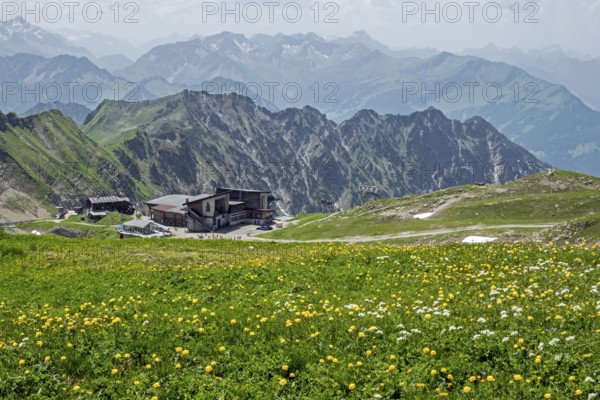 Edmund-Probst-Haus and Höfatsblick mountain station of the Nebelhornbahn, mountains of the Allgäu Alps in the background, yellow flowering meadow in the foreground, Oberstdorf, Oberallgäu, Bavaria, Germany