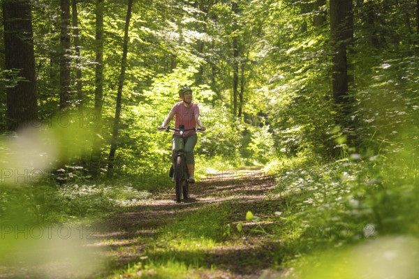 Cyclist enjoying a sunny forest path surrounded by lush greenery, Gechingen, Black Forest, Germany