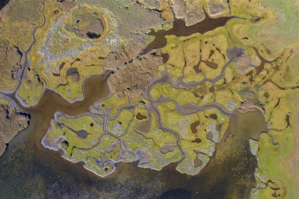 Aerial view over the Salzhaff, formed by the island of Poel and shallow bay of the Baltic Sea near Wismar, Mecklenburg-Western Pomerania, Germany
