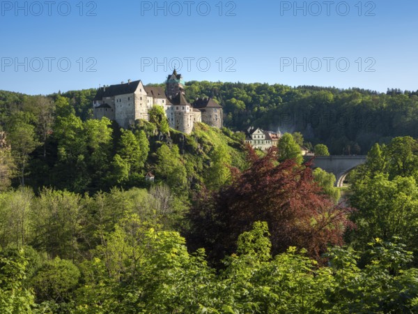 View of Loket Castle, Loket, Bohemia, Western Bohemia, Karlovy Vary, Karlovy Vary Region, Karlovarský kraj, Czech Republic, Ceská Republika