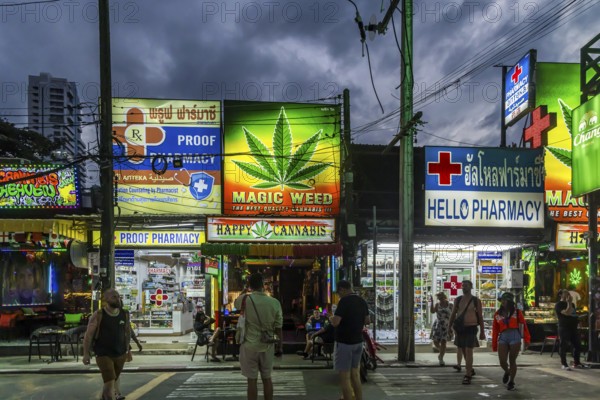 Legalisation of narcotics in Thailand. Cannabis is offered for sale in many places. Bangla Walking Street in the evening. Nightlife in Patong, Kathu, Phuket Island, Thailand