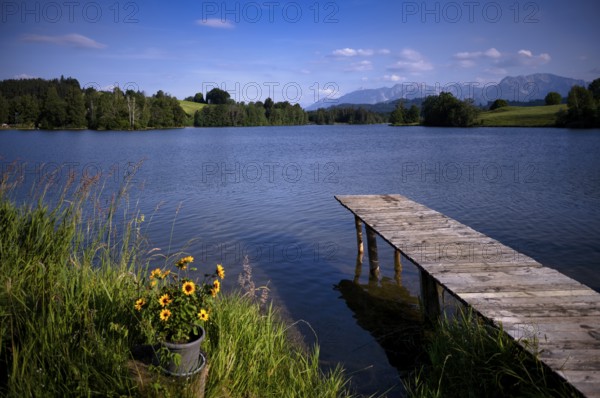 Bathing jetty, jetty, wooden jetty, jetty, leads into a lake, bathing lake, Schwaltenweiher near Seeg, Ostallgäu, Allgäu, Swabia, Bavaria, Germany