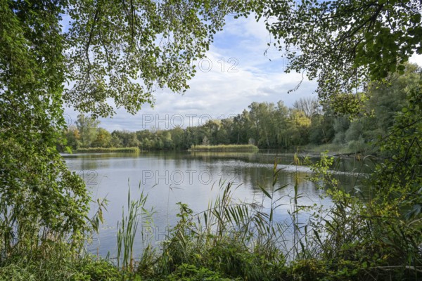 Pond, Deetzer Erdlöcher, Groß Kreutz, Brandenburg, Germany