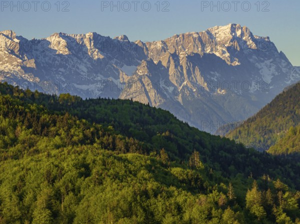 Aerial view, trees, forest, light green leaves, morning light, mountains, sunny, spring, near Murnau, Zugspitze, Wetterstein range, foothills of the Alps, Bavaria, Germany