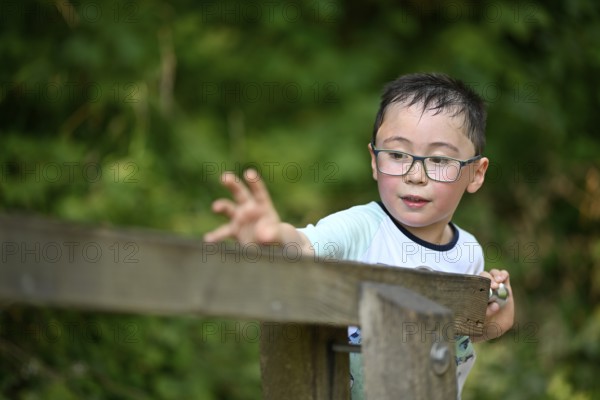 Child, boy aged 5, multi-ethnic, playing with marbles on XXL marble run, NATURATUM adventure forest trail, Schwäbisch Gmünd, Baden-Württemberg, Germany