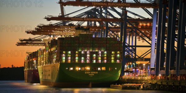 Container terminal Burchardkai with full container ship Ever Genius from Panama in the evening, Port of Hamburg, Hamburg, Germany