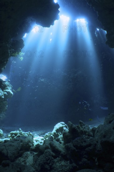 Diver swimming in cave, underwater, light rays, sun rays, dive site Shaab Claudia reef, Red Sea, Egypt