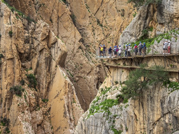 Tourists on the elevated path of the caminito del rey, along a deep gorge, Andalusia, Spain
