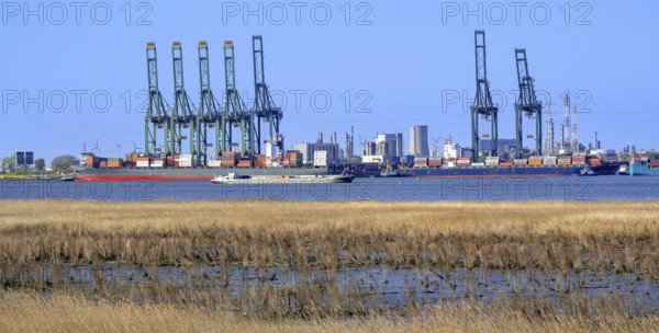 Gantry cranes and stacked containers on container ships docked at container terminal in the port of Antwerp seaport, harbour, Flanders, Belgium