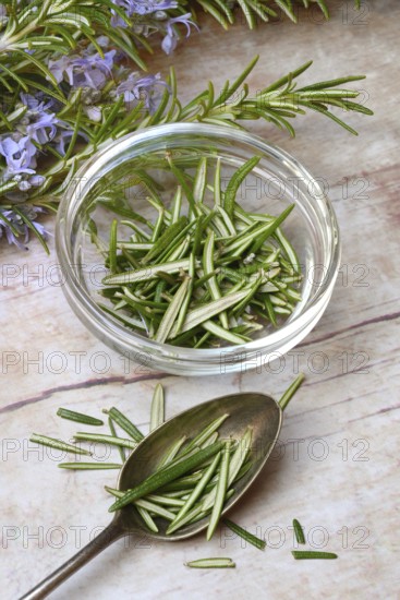 Rosemary, plucked rosemary leaves in a glass bowl and flowering sprig