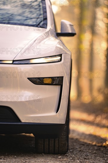 Detailed view of the front of a white car in the forest, Tesla, New Model Y, Black Forest, Germany