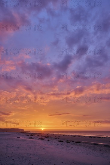 Colorful sunset on the beach with Grey seal (Halichoerus grypus) lying lying on it, Düne, Helgoland, Schleswig-Holstein, Germany