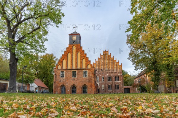 Autumn atmosphere with leaves in the meadow in front of Zinna Monastery with its brick architecture, Jüterbog, Fläming, Brandenburg, Germany