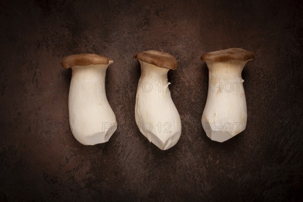 Fresh eringi mushrooms, raw, royal oyster mushrooms, three pieces, Asian cuisine, no people