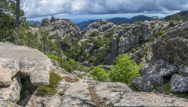 Hiking trail to the Cascade de Piscia di Gallo waterfall, Piscia di Ghjaddu, Alta Rocca, Corsica, France