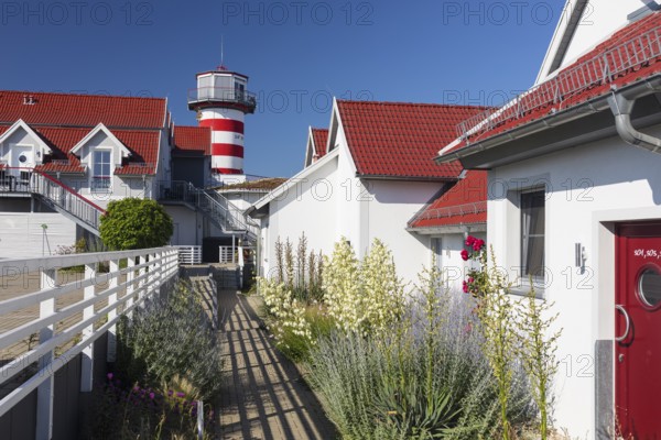 Holiday resort with holiday homes and lighthouse on Lake Geierswalde, Geierswalde, Lusatian Lakeland, Saxony, Germany